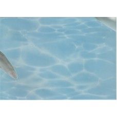 Лазурь декор дельфины 7 бирюзовый